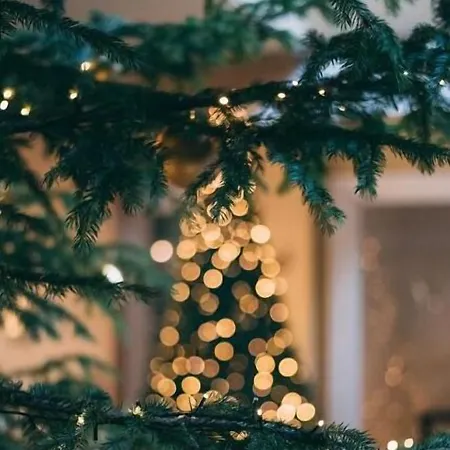 ホテル Hotel Bansko バンスコ