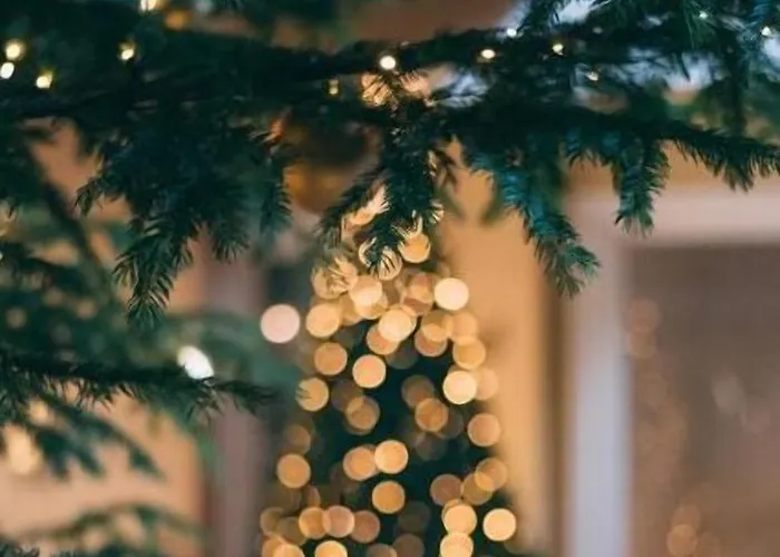 Szálloda Hotel Bansko Banszko